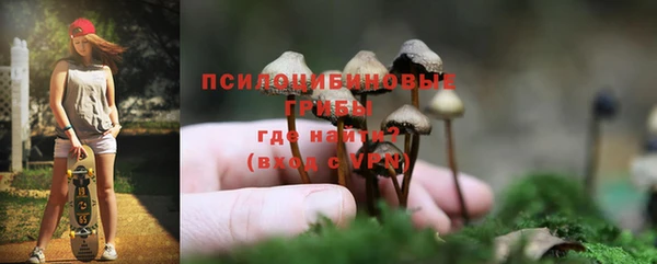 стафф Алексин