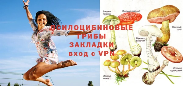 стафф Алексин