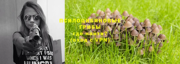 прущие грибы Абинск