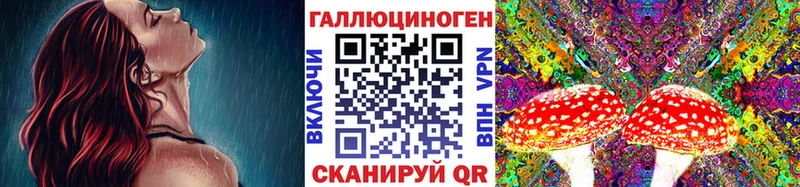 купить наркотики сайты Королёв Псилоцибиновые грибы Psilocybine cubensis